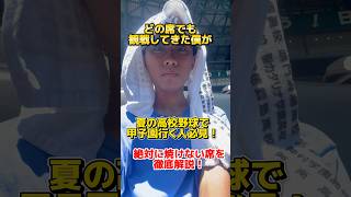 [Summer Koshien] A must-see for those going to see high school baseball! A thorough explanation o...