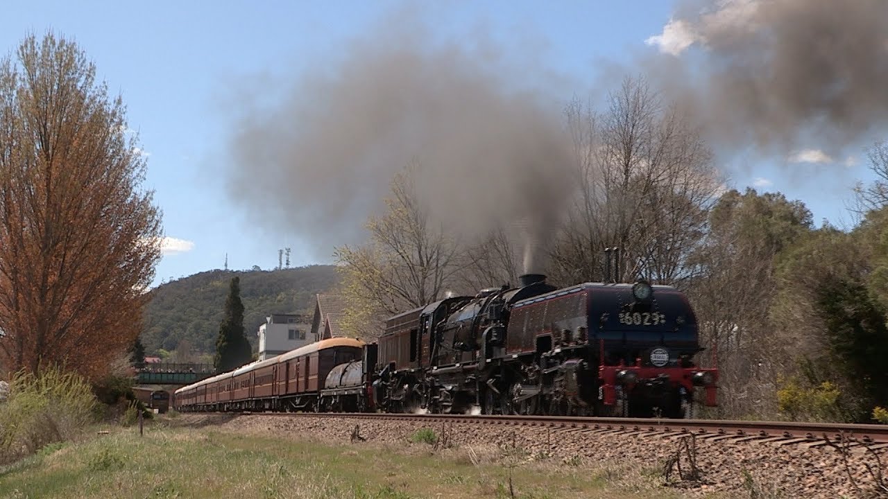 Garratt 6029 - "SOUTHERN HIGHLANDER" tour to Moss Vale - September 2019