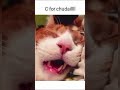 Just joking 😃 mittar #cat #memes #funnymemes #shortvideo