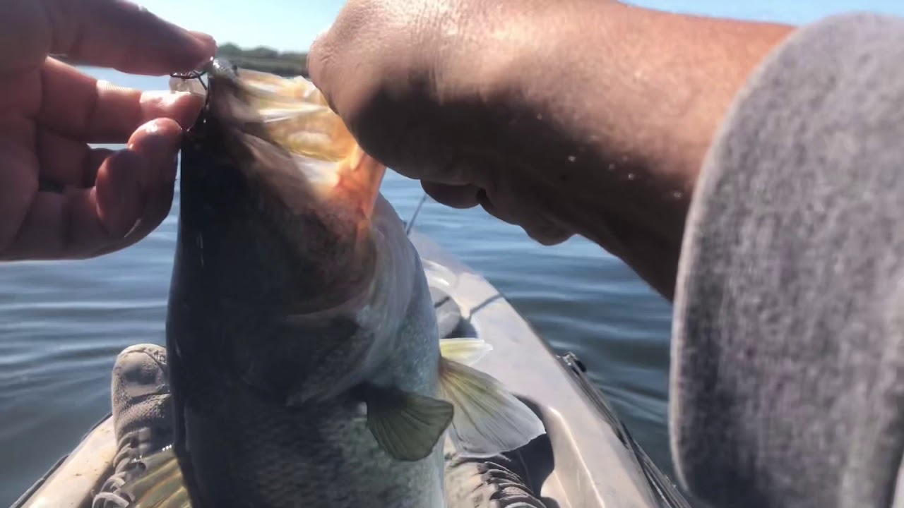 Fall Bass at LAKE FORK! Can we beat the skunk! Or find a PB?