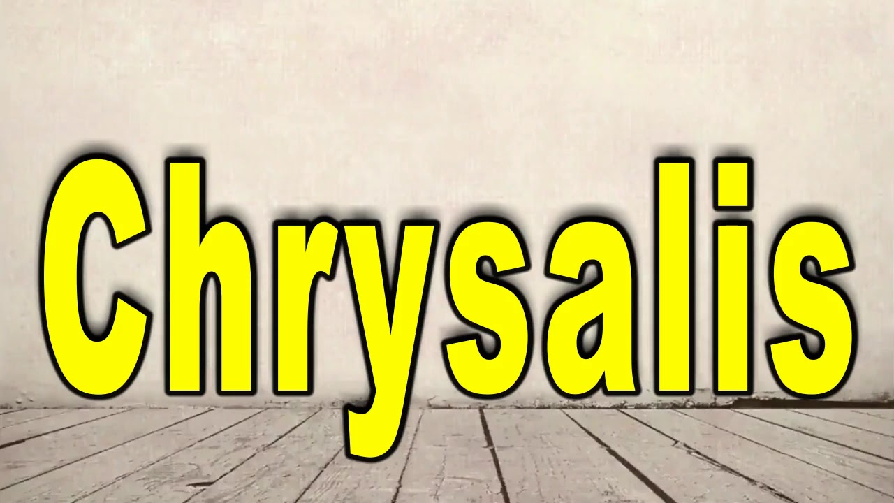 How to Pronounce Chrysalis