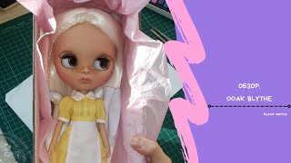 Распаковка и обзор куклы Блайз ✦ Castom Blythe doll