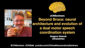#CNStalk - Gregory Hickock: Beyond Broca - neural architecture & evolution of the speech system