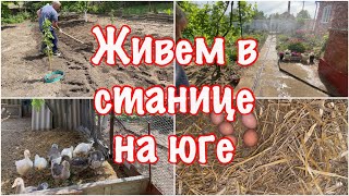 241ч🏡TIKITEX/Снова чебуреки))Снова посадили картошку/Полив/Птица/Ремонт