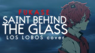 Saint Behind The Glass