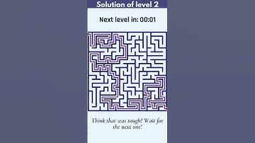 Maze Puzzle Challenge! 🧠💥 Can You Solve All 3 Levels?