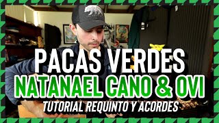 PACAS VERDES - Natanael Cano feat Ovi - Tutorial - REQUINTO - ACORDES - Guitarra