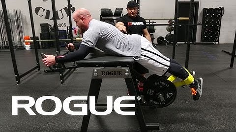 Equipment Demo - The Reverse Hyper