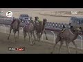 الشوط 7 شاهين لـ سالم دغاش العامري 13 1 4 جائزة زايد الكبرى 2020 12 8 الوثبة حول زمول 