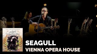 Watch Joe Bonamassa Seagull video