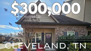 1728 Stonebriar Drive video tour