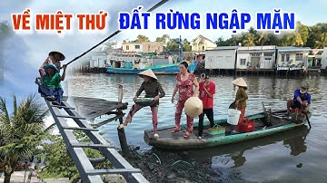 ĐẸP LẠ ĐẤT RỪNG NGẬP MẶN - HỒN QUÊ VÙNG MIỆT THỨ Ở CHỢ THỨ 3 AN BIÊN KIÊN GIANG