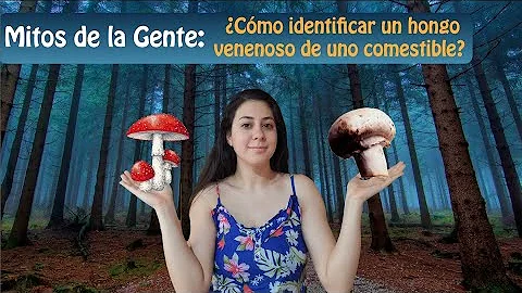 ¿Cómo diferenciar hongo venenoso?