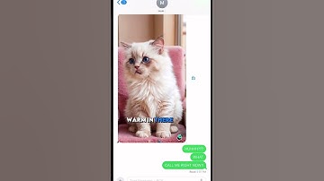 This Is Why I Don’t Open DMs 📩😭