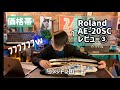 【レビュー編③完】】Roland AE-20/20SC - ローランドの新型エアロフォンをそこはかとなくレビューするの巻