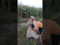 هشام الصعيدي انتظرونا كل يوم لايك وابداع