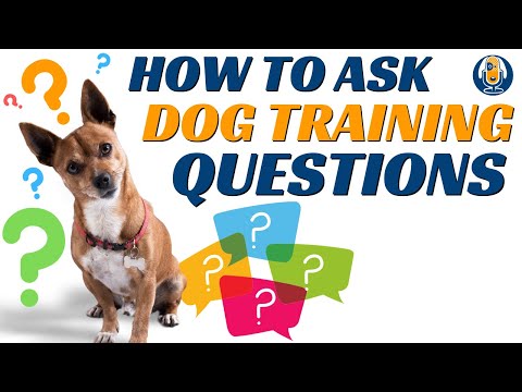 Video: Spørgsmål til Ask a Dog Trainer