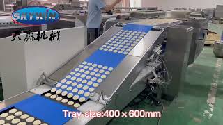 SKYWIN Tray Type Soft Biscuit Making Machine.