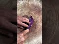 UniqueEggplantDecoration Carving Ideas#ArtisticEggplant Shape CarvingDesigns#Eggplant FoodArtCarving