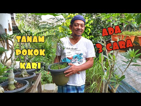 Video: Memilih Pokok Untuk Landskap Zon 5 - Petua Menanam Pokok Zon 5