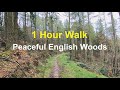 Walking In The Woods - 1 Hour Virtual Walk For Treadmill Workout Scenery - Peaceful Forest Hike