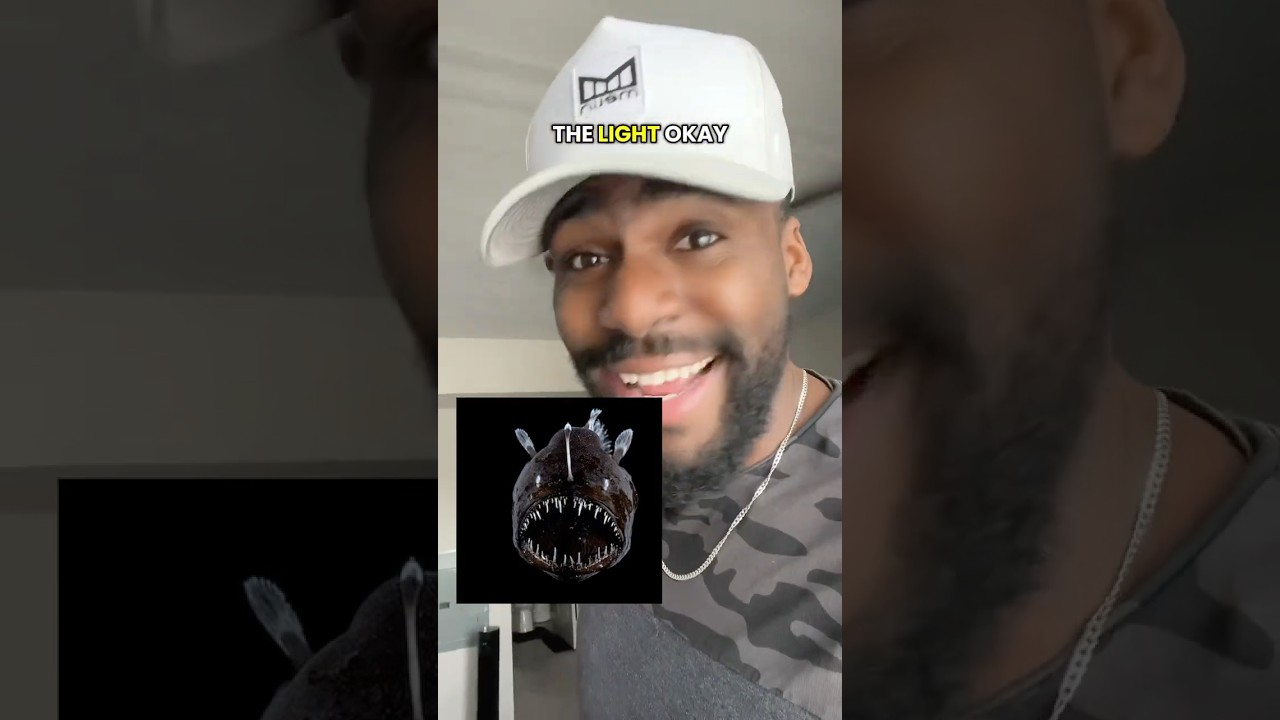 Океан против космоса… что страшнее? 😅