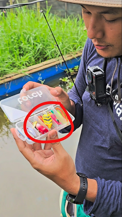 NGERI‼️CASTING GABUS PAKE SOFT FROG KILLER BARU‼️
