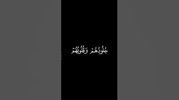 سورة الزمر الآية(٢٢-٢٣) القارئ: محمد اللحيدان