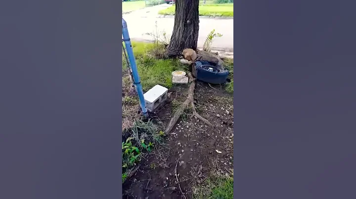 First video
