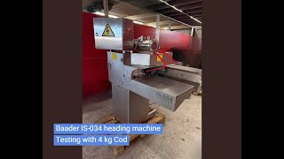 Baader IS-034 heading machine for white fish. Testing with 4 kg cod.