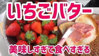 【入手困難】SNSで大人気の苺バターを作ってみた 【超解説】