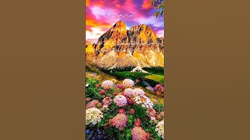 سورة إبراهيم الأية(٤٠-٤١) بصوت الشيخ خالد الجليل