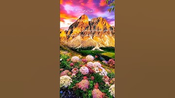سورة إبراهيم الأية(٤٠-٤١) بصوت الشيخ خالد الجليل