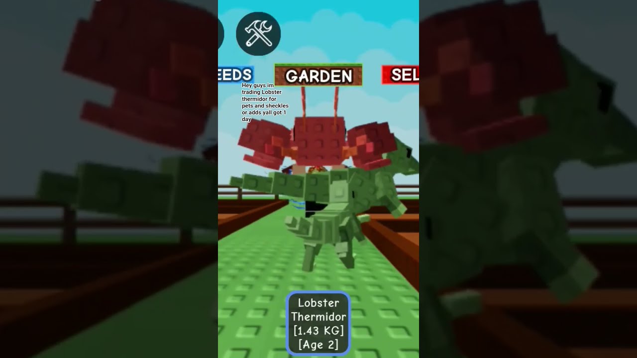  Growagarden Trading Lobster Thermidor