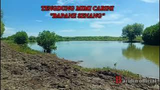 BAPANE SENANG||TENGDUNG CIREBONAN||MIMI CARINI.VLOG TAMBAK IKAN BLANAKAN-SUBANG
