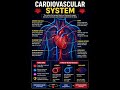 cardiovascular system #hyperlipidemia #automobile #automobile