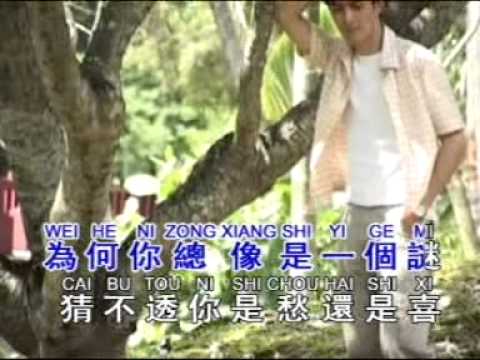 你像一个谜 （吴大卫）翻唱
