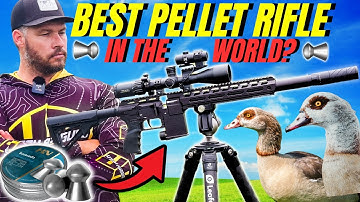 FX DRS TACTICAL: BEST PELLET RIFLE IN THE WORLD?