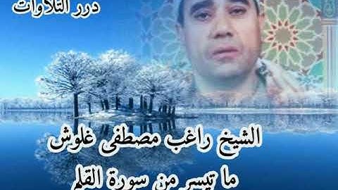 الشيخ راغب مصطفى غلوش ما تيسر من سورة القلم