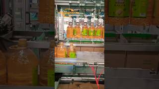 Top load pick and place Case packer for Vegetable oil#Pack agingmachine#packagingsolution