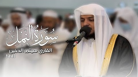 ارح سمعك بتلاوه سوره النمل مع صوت خرير الماء 🎧❤️‍🩹 #هيثم_دخين #أرح_سمعك_وقلبك #قران_كريم #طمئن_قلبك