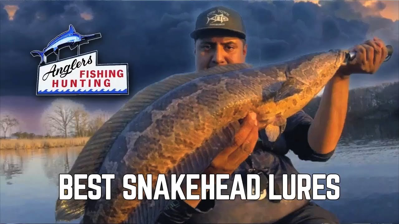 The Best Lures for Northern Snakehead < Anglers Sport Center