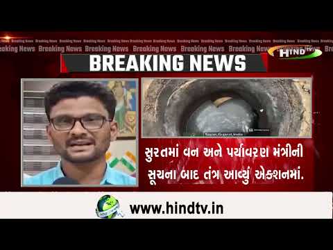 સુરતમાં વન અને પર્યાવરણ મંત્રીની સૂચના બાદ તંત્ર આવ્યું એક્શનમાં.