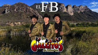 EL FB - Los Gallitos de Chihuahua [Corridos 2023]