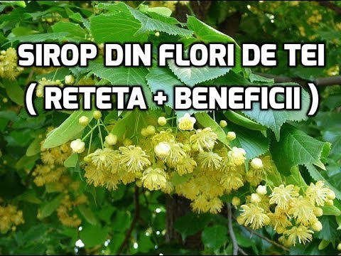 Video: Dulceata De Flori De Tei