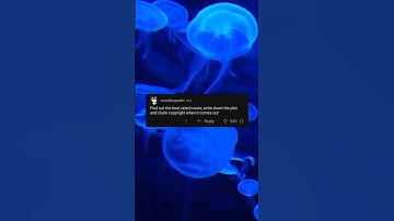 You get pushed into 2030 for 10 minutes and you get ONE google search. What you looking for ?