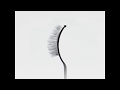 Video: Cambridge Strip Lash - 6844