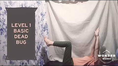 DEAD BUG SERIES (Non-locomotor Exercise )