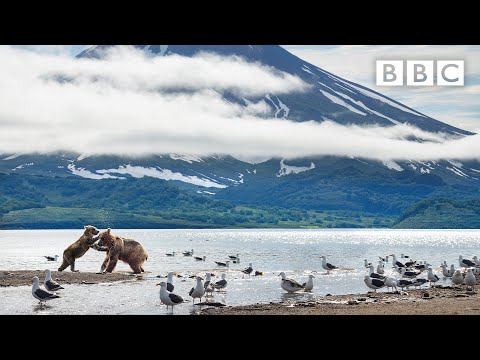 Wideo: BBC Earth Szuka Nowego Attenborough I Może To Być Ty