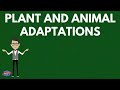 Adaptations in Plants and Animals
